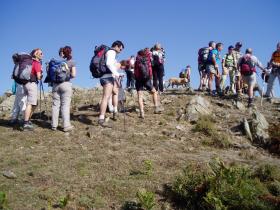 photo coins arrondis